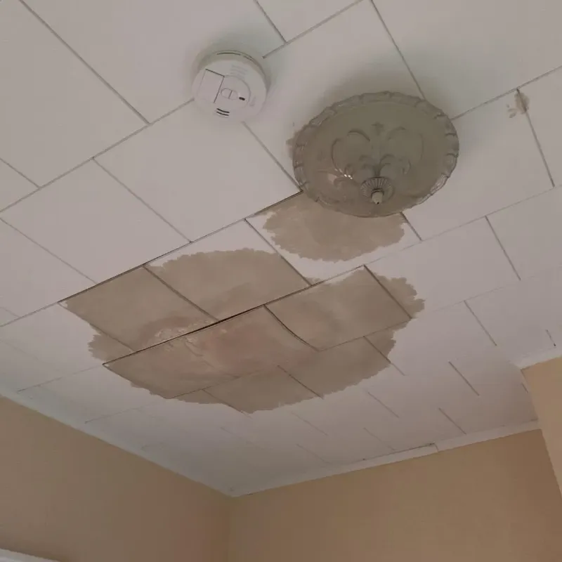 Ceiling Water Damage Repair in Maury County, TN