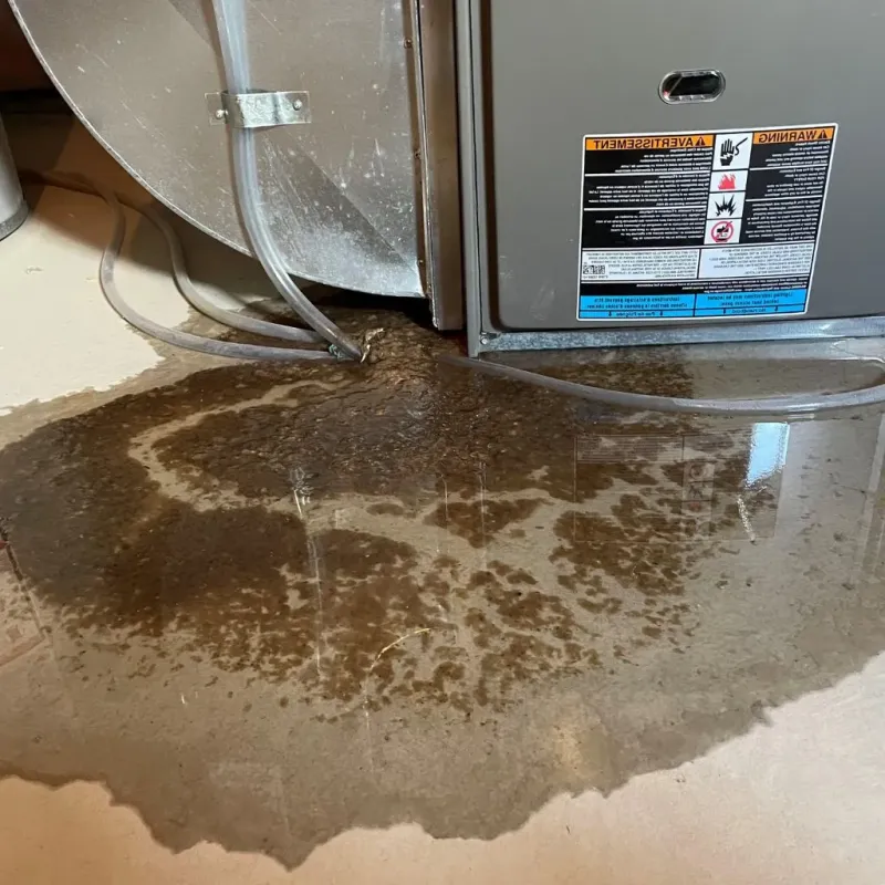 Pipe Burst and Leak Restoration in Maury County, TN