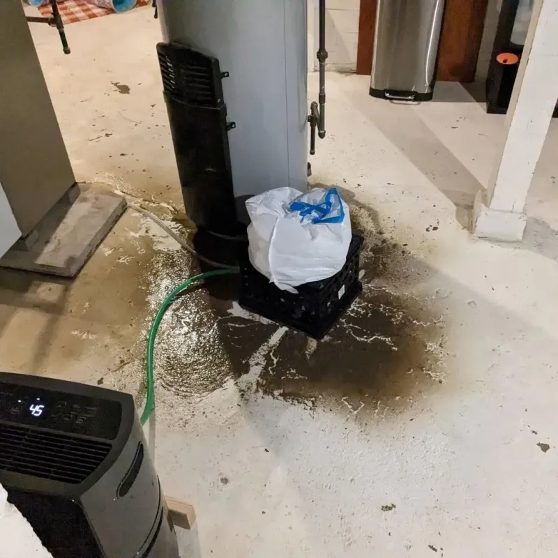 Sewage Backup Cleanup Service in Maury County, TN